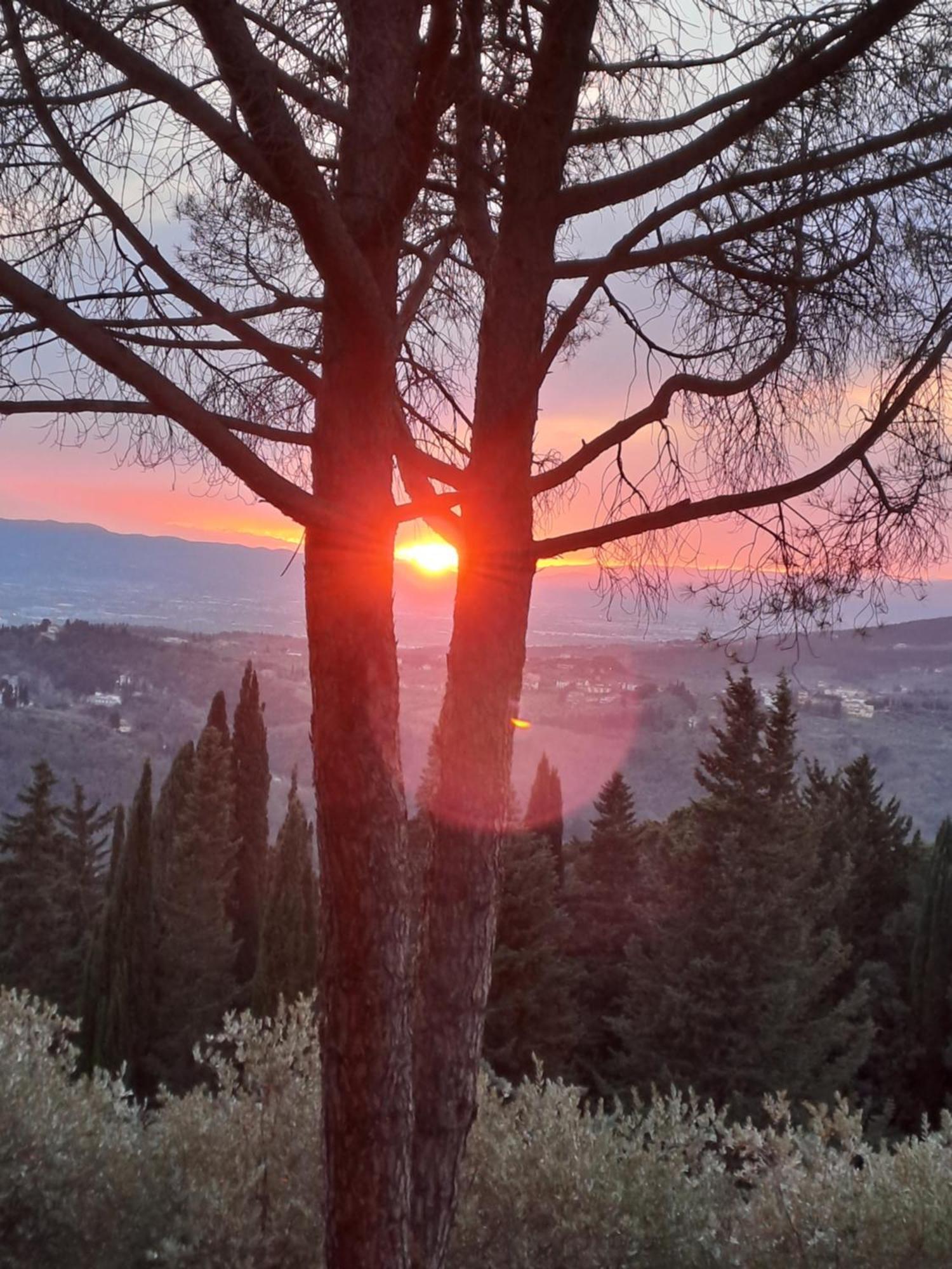 La Dimora Di Alida