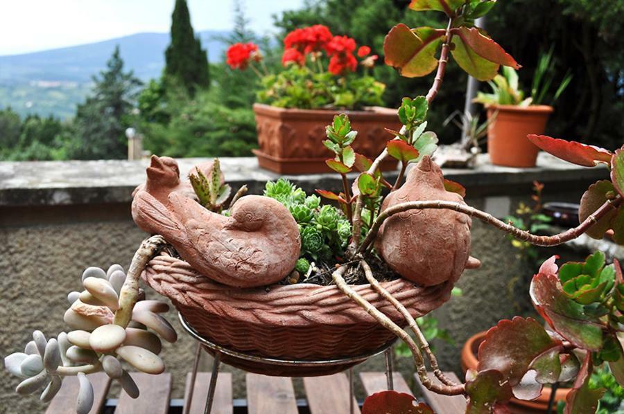 Bed & Breakfast La Dimora Di Alida Fiesole